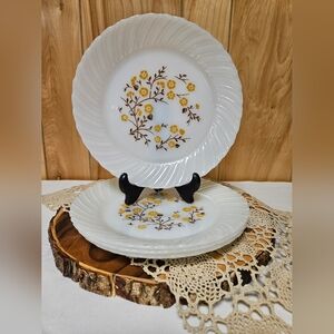 Vintage Termocrisa Milk Glass Gold Floral Daisy 4 PC Luncheon Plates Mexico 9"